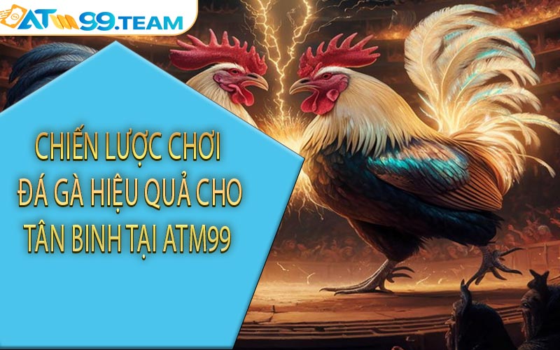 Chiến lược chơi đá gà hiệu quả cho tân binh tại ATM99
