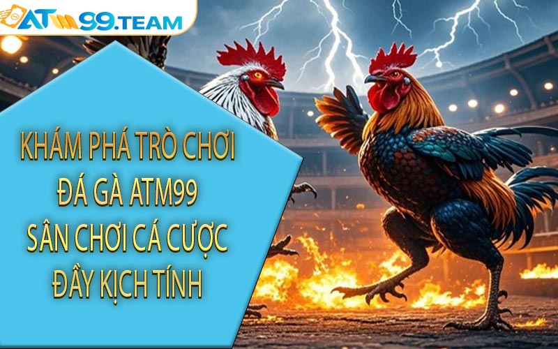 Khám phá trò chơi đá gà ATM99 sân chơi cá cược đầy kịch tính