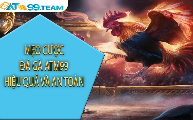 Mẹo cược đá gà ATM99 hiệu quả và an toàn