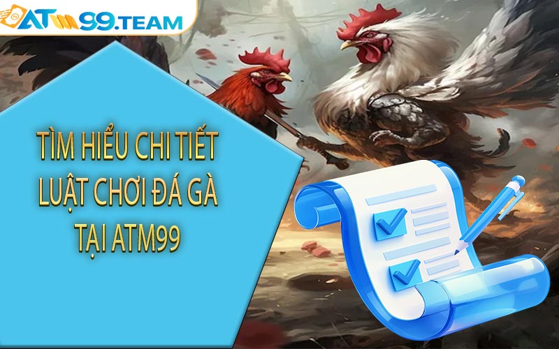 Tìm hiểu chi tiết luật chơi đá gà tại ATM99